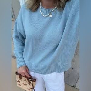 NWOT Quince 100% Organic Cotton Blue Crew Sweater Oversized XS